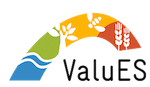 Logo - valuES